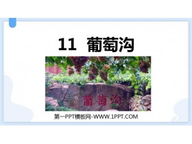 《葡萄沟》PPT精品免费课件-第一PPT