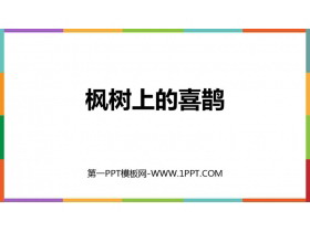 《枫树上的喜鹊》PPT免费课件下载-第一PPT