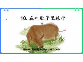 《在牛肚子里旅行》PPT免费教学课件-第一PPT