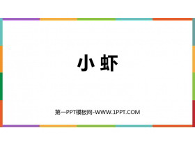《小虾》PPT精品教学课件-第一PPT