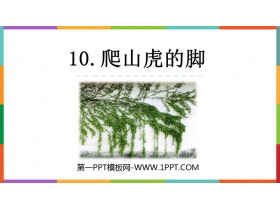 《爬山虎的脚》PPT免费课件下载-第一PPT
