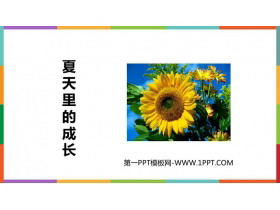 《夏天里的成长》PPT优质课件下载-第一PPT