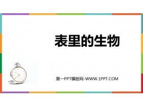 《表里的生物》PPT教学课件下载-第一PPT