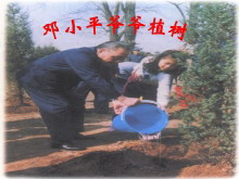 《邓小平爷爷植树》PPT课件-第一PPT