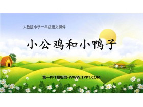 《小公鸡和小鸭子》PPT优质教学课件-第一PPT