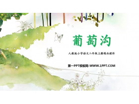 《葡萄沟》PPT优质教学课件下载-第一PPT
