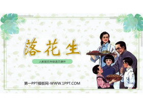 《落花生》PPT精品教学课件下载-第一PPT