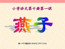 《燕子》PPT课件2-第一PPT