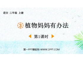 《植物妈妈有办法》PPT下载(第1课时)-第一PPT