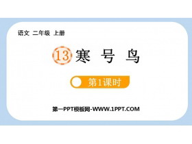《寒号鸟》PPT课件下载(第1课时)-第一PPT