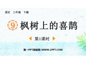 《枫树上的喜鹊》PPT课件下载(第1课时)-第一PPT