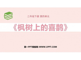 《枫树上的喜鹊》PPT教学课件下载-第一PPT