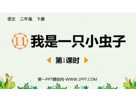 《我是一只小虫子》PPT课件下载(第1课时)-第一PPT