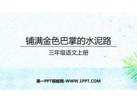 《铺满金色巴掌的水泥道》PPT优秀教学课件-第一PPT