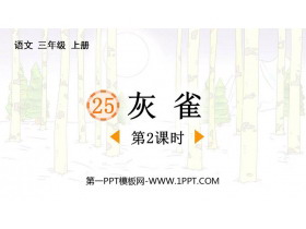 《灰雀》PPT课件下载(第2课时)-第一PPT