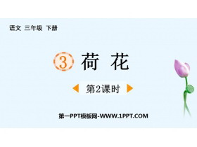 《荷花》PPT课件下载(第2课时)-第一PPT