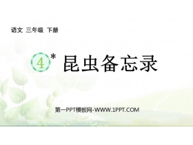 《昆虫备忘录》PPT优质教学课件-第一PPT