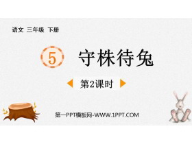 《守株待兔》PPT免费课件(第2课时)-第一PPT