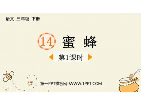 《蜜蜂》PPT下载(第1课时)-第一PPT