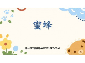 《蜜蜂》PPT免费课件下载-第一PPT