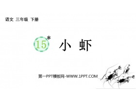 《小虾》PPT免费教学课件-第一PPT