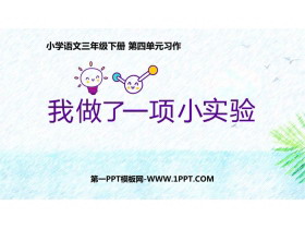 《我做了一项小实验》PPT精品教学课件-第一PPT