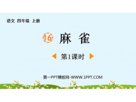 《麻雀》PPT免费下载(第1课时)-第一PPT