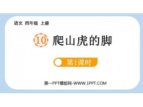 《爬山虎的脚》PPT免费课件(第1课时)-第一PPT