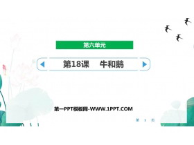 《牛和鹅》PPT免费精品课件-第一PPT