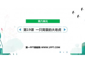 《一只窝囊的大老虎》PPT精品课件下载-第一PPT