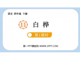 《白桦》PPT免费课件(第1课时)-第一PPT