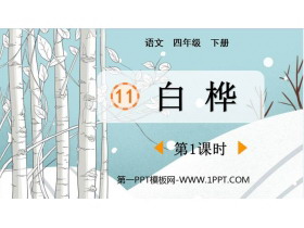 《白桦》PPT免费下载(第1课时)-第一PPT