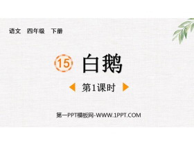 《白鹅》PPT免费课件(第1课时)-第一PPT