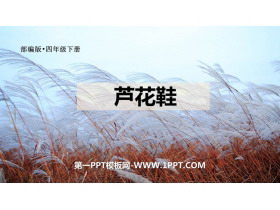 《芦花鞋》PPT精品教学课件-第一PPT