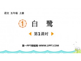 《白鹭》PPT免费课件(第1课时)-第一PPT