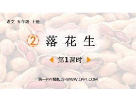 《落花生》PPT免费课件(第1课时)-第一PPT