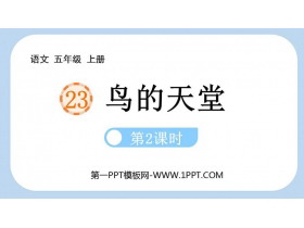 《鸟的天堂》PPT课件(第2课时)-第一PPT