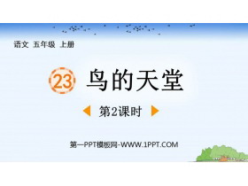 《鸟的天堂》PPT下载(第2课时)-第一PPT