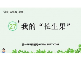 《我的“长生果”》PPT精品教学课件-第一PPT