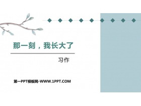 《那一刻，我长大了》PPT优质课件-第一PPT