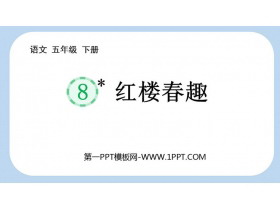 《红楼春趣》PPT优质教学课件-第一PPT