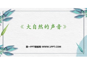 《大自然的声音》PPT精品教学课件-第一PPT
