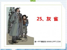 《灰雀》PPT精品教学课件-第一PPT