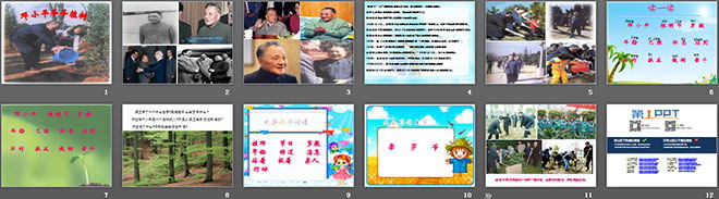 图片[2]-《邓小平爷爷植树》PPT课件-第一PPT