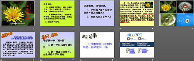 图片[2]-《金色的草地》PPT教学课件下载2-第一PPT