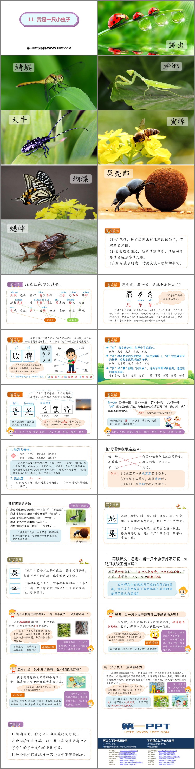 图片[2]-《我是一只小虫子》PPT优秀课件下载-第一PPT