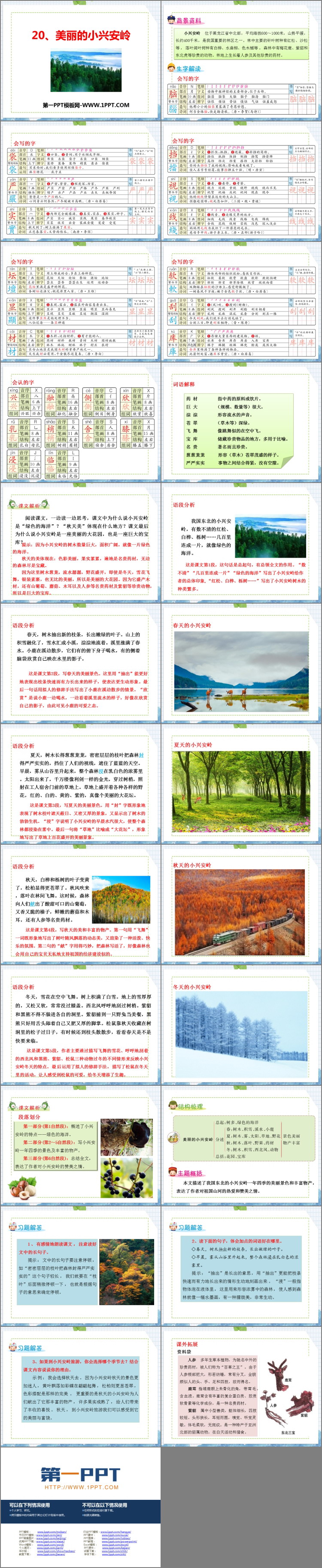 图片[2]-《美丽的小兴安岭》PPT免费教学课件-第一PPT