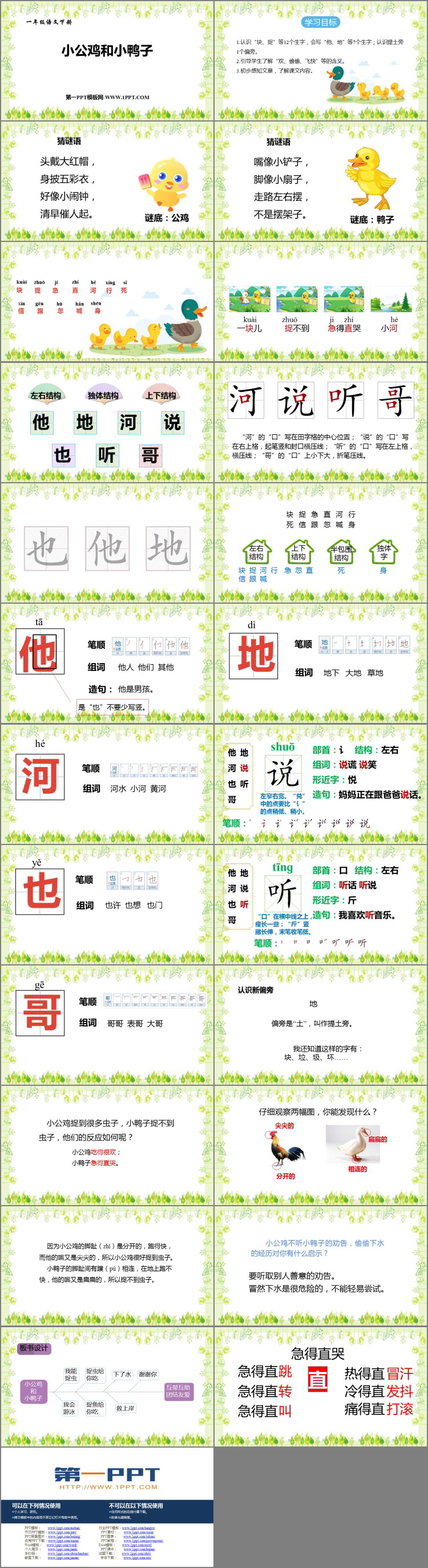 图片[2]-《小公鸡和小鸭子》PPT优质课件下载-第一PPT