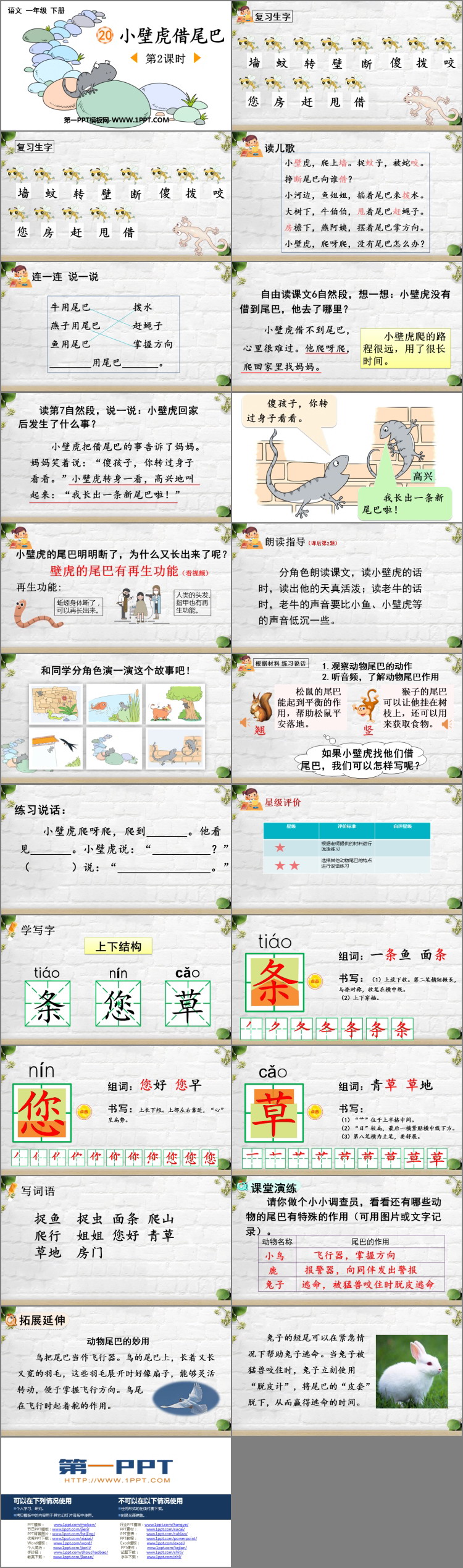图片[2]-《小壁虎借尾巴》PPT免费课件(第2课时)-第一PPT