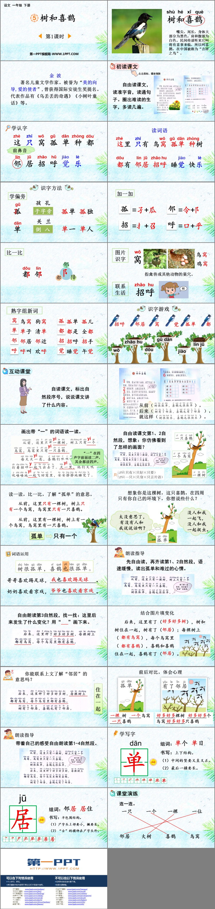 图片[2]-《树和喜鹊》PPT课件下载(第1课时)-第一PPT